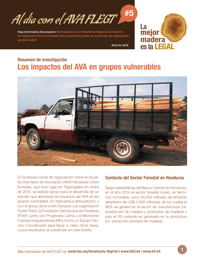 boletín-5-AVA-Los-impactos-del-AVA-en-grupos-vulnerables